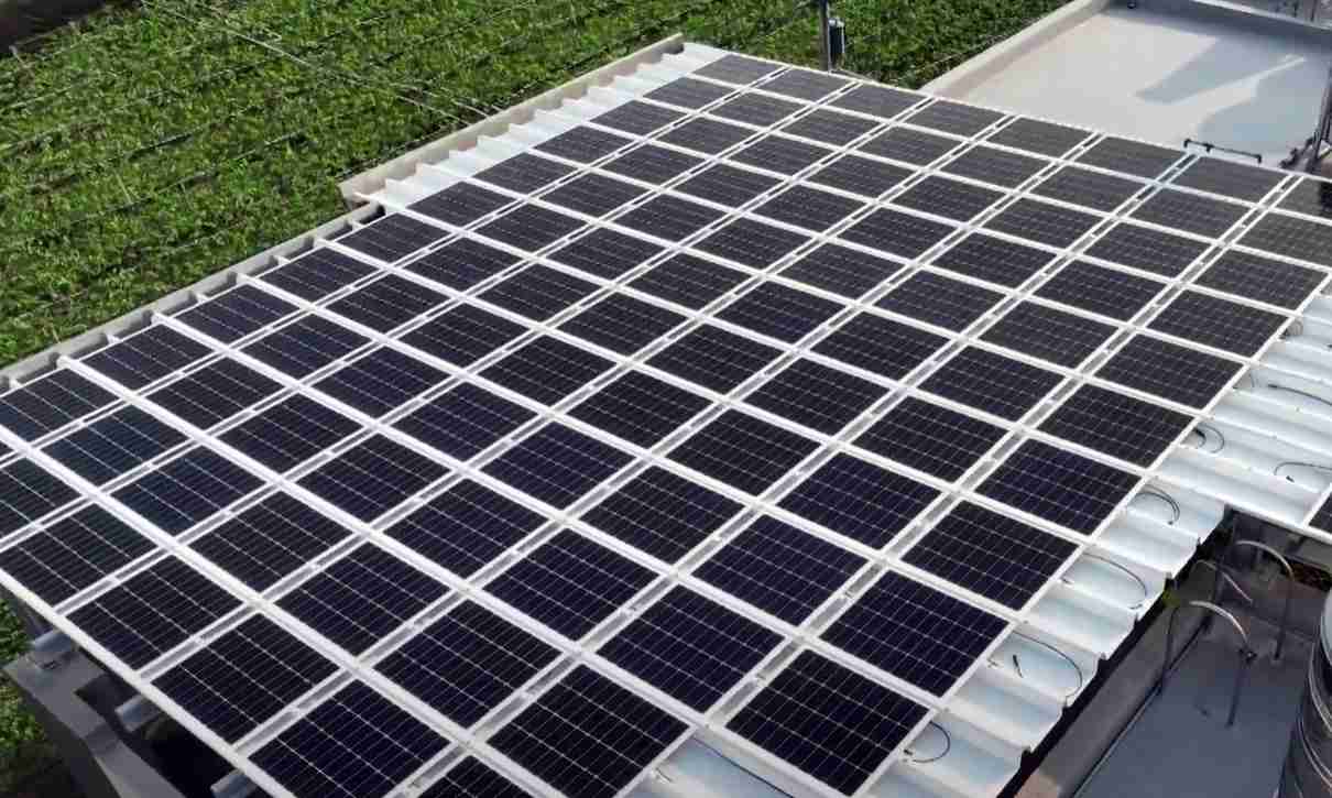 william威廉中文官网SunSteel光电浪板升级双玻结构，，，，以提升机械负载强度及气候耐候度，，，可广泛运用于多元场域