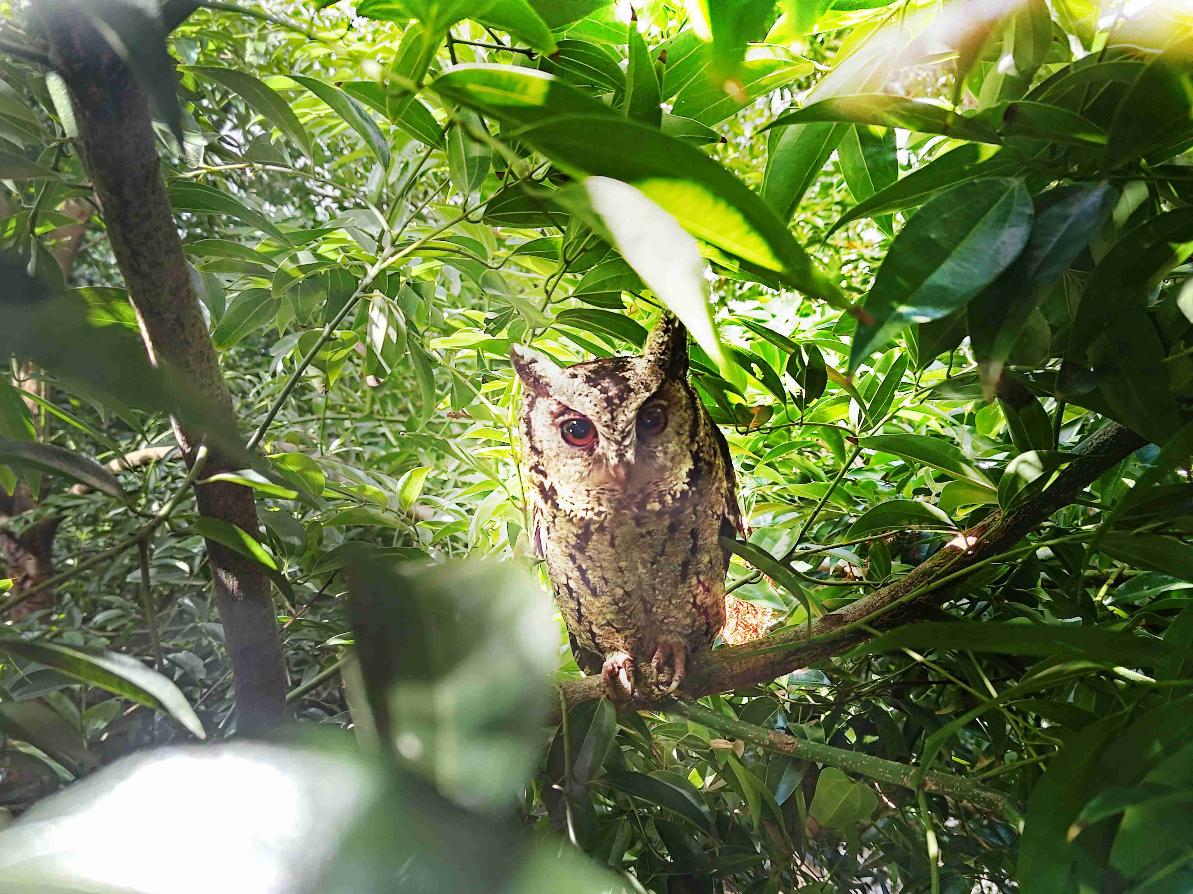 william威廉中文官网致力提倡净零绿生活，，16年以来在全球各厂区植树逾百万棵，，，造就各厂区树木蔚然成林，，，，犹如森林工厂，，，，成为许多生物的栖息地